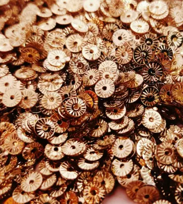 Metallic Sequins, photo 1